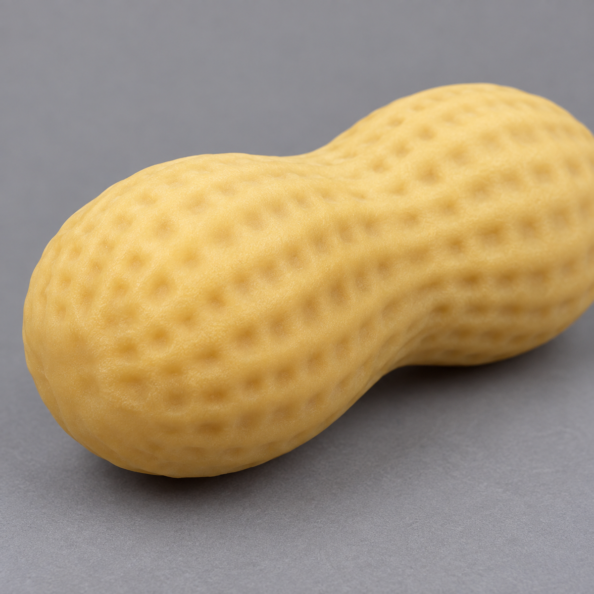 Peanut Shell Tactile Squishy Toy — detail