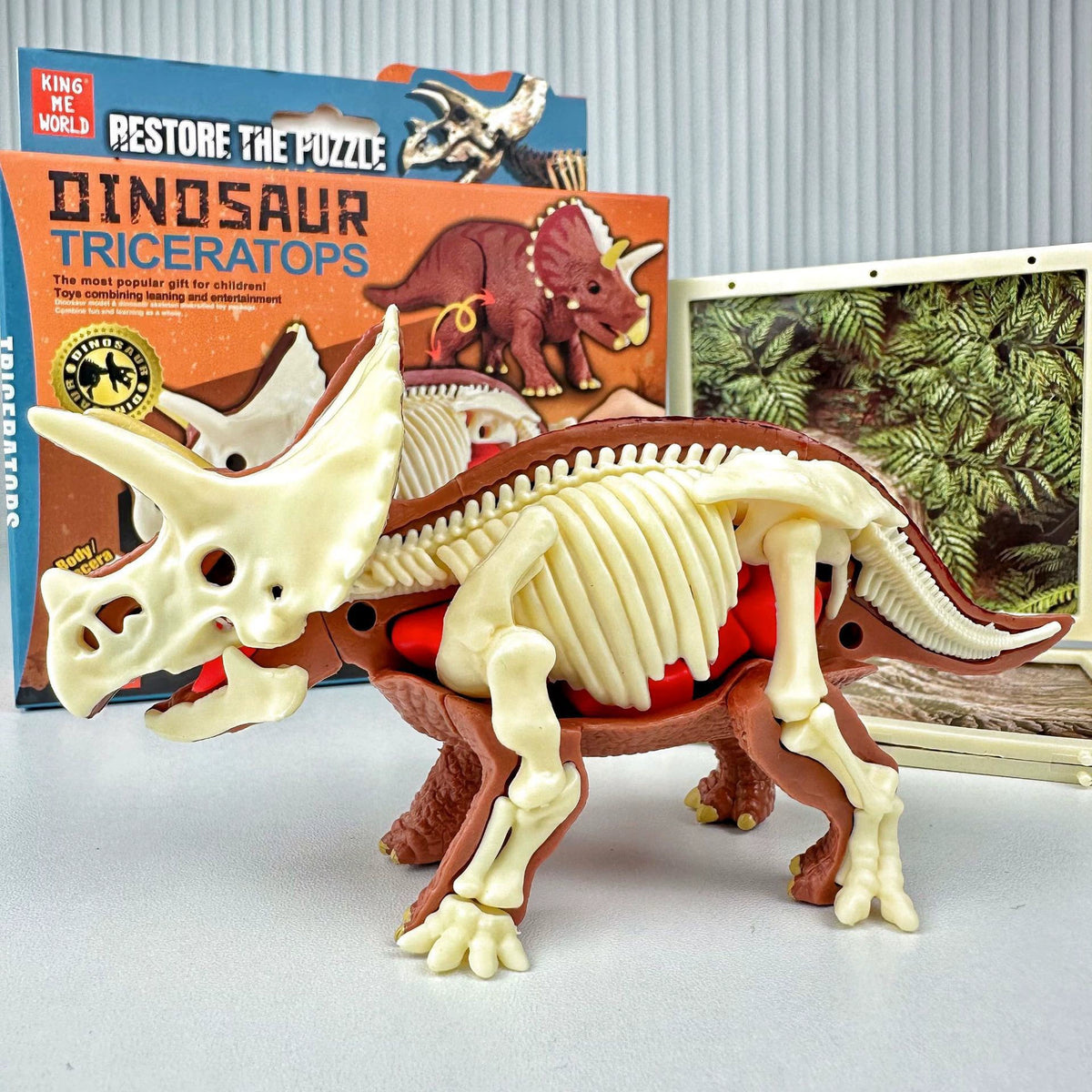 3D Triceratops Puzzle Model 3