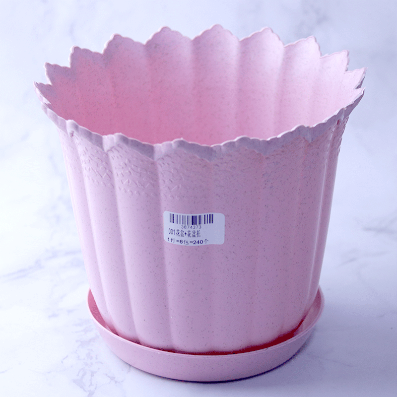 Flower Pot with Saucer 2