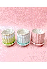 ColorStyle Flower Pot 2
